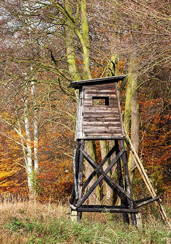 Davert Naturschutzgebiet