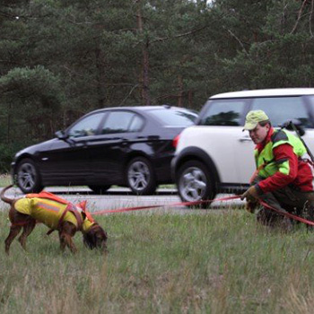 Schweißhund